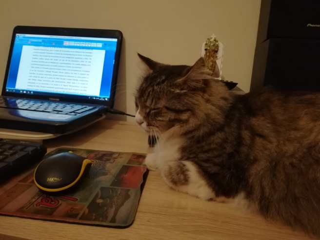 WhatsApp Image 2018-09-14 at 10.47.32 PM